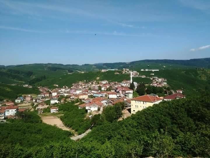 Hendek Kocatöngel Köyü Resimleri 1