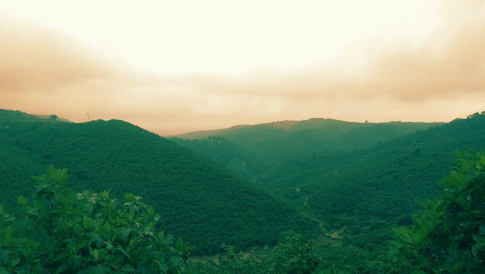 Hendek Kocatöngel Köyü Resimleri 2
