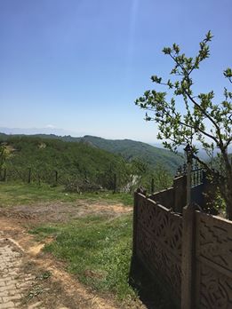 Hendek Kocatöngel Köyü Resimleri 4