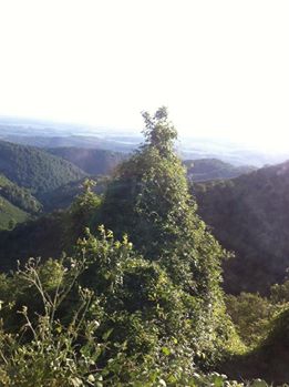 Hendek Kocatöngel Köyü Resimleri 5