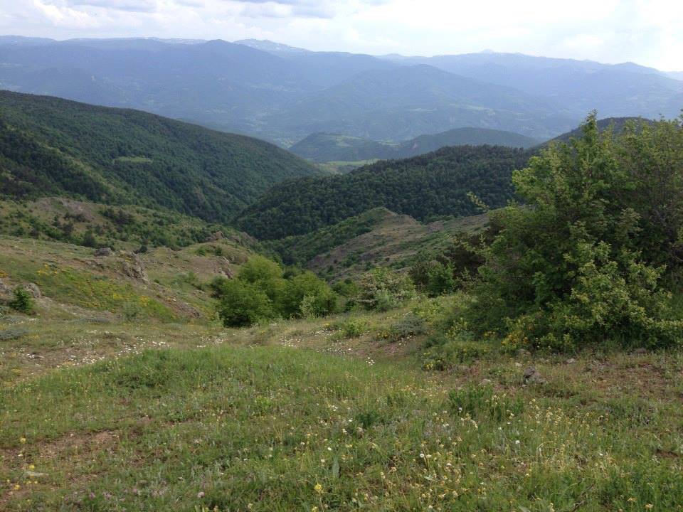 Almus Dikili Köyü Resimleri 2