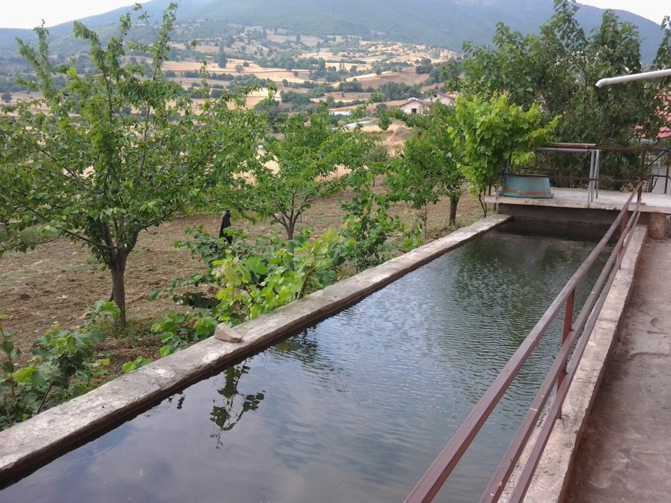 Almus Dikili Köyü Resimleri 9