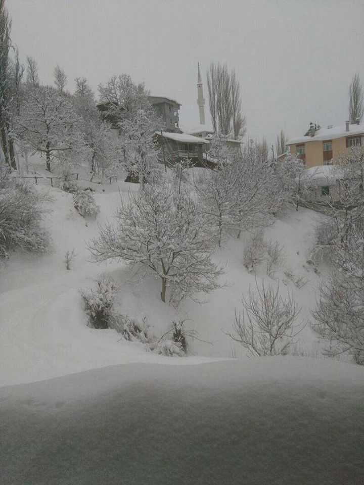 Almus Göltepe Köyü Resimleri 2