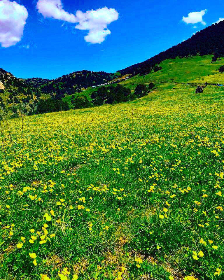 Almus Sarıören Köyü Resimleri 1