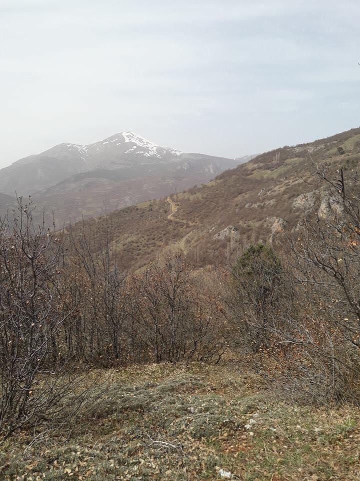 Almus Sarıören Köyü Resimleri 6