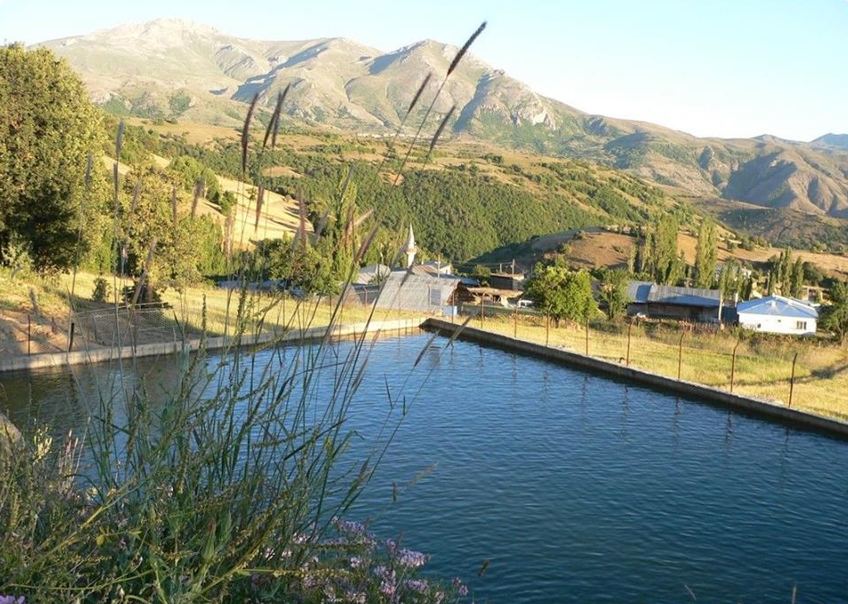 Almus Sarıören Köyü Resimleri 8