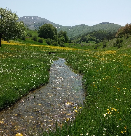 Almus Teknecik Köyü Resimleri 4