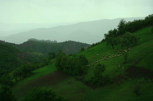 Almus Üçgöl Köyü resimleri 4