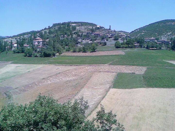 Almus Üçgöl Köyü resimleri 7