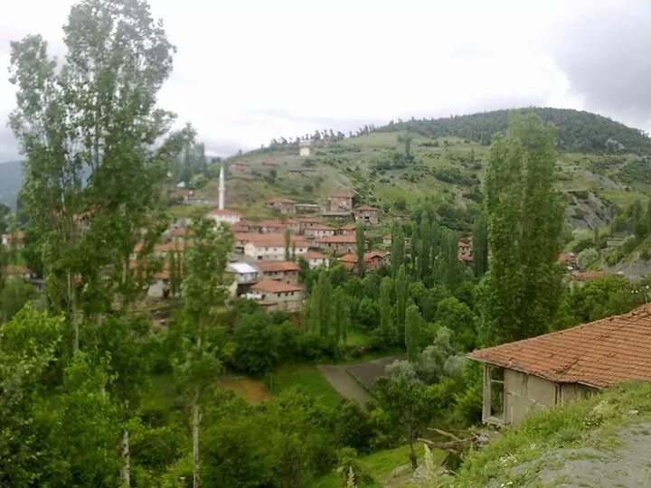 Almus Üçgöl Köyü resimleri 9