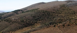 Artova Bebekderesi Köyü Resimleri 4