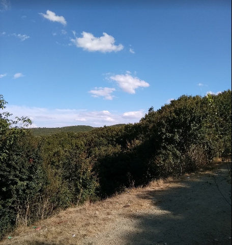 Artova Gazipınarı Köyü Resimleri 1