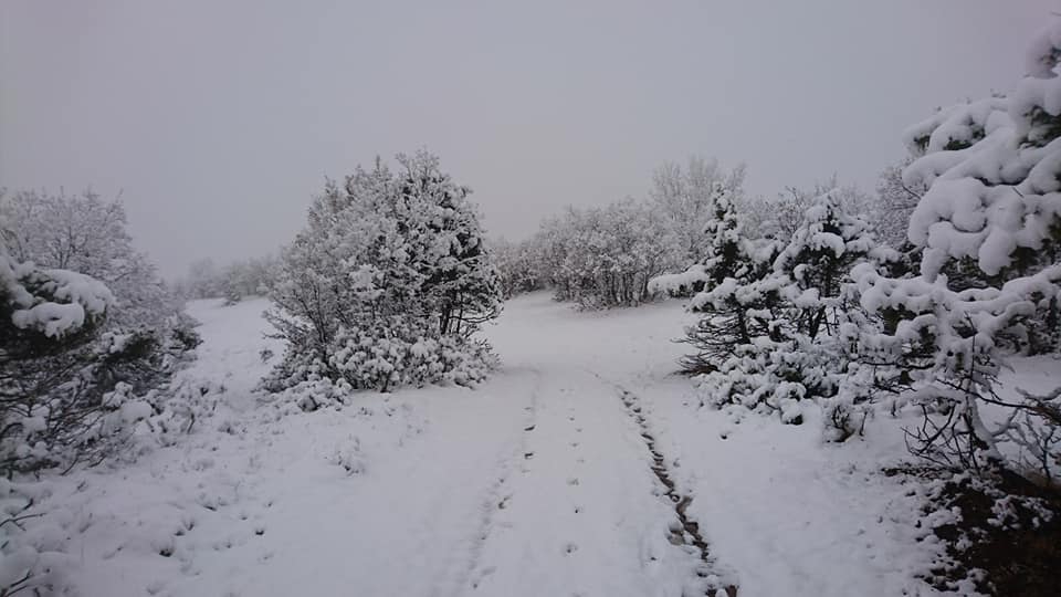 Artova Gümüşyurt Köyü Resimleri 4