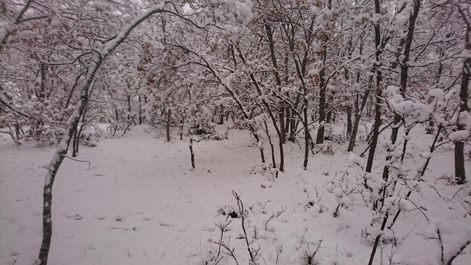 Artova Gümüşyurt Köyü Resimleri 6