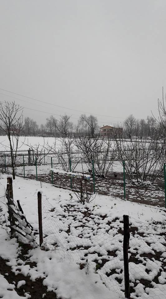 Hendek Martinler Köyü Resimleri 2