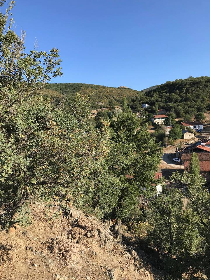 Artova Mertekli Köyü Resimleri 2