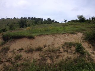 Hendek Muradiye Köyü Resimleri 1