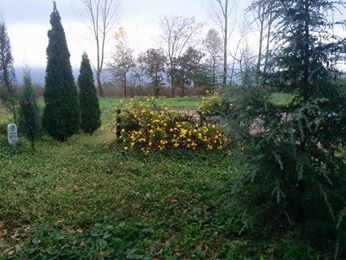 Hendek Muradiye Köyü Resimleri 2