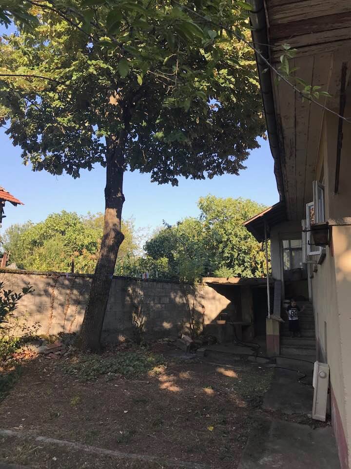 Hendek Nuriye Köyü Resimleri 1