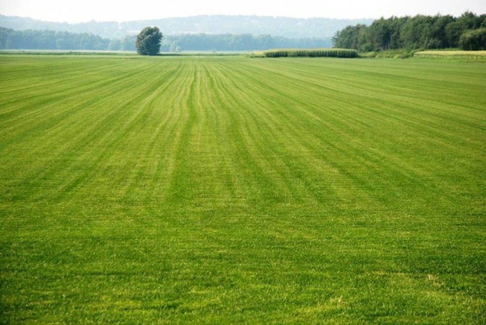 Hendek Nuriye Köyü Resimleri 2