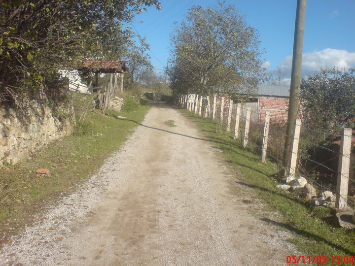 Kavak Karlı Köyü Resimleri 3
