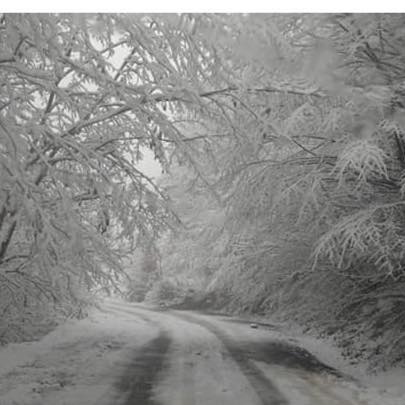 Kavak Karlı Köyü Resimleri 5