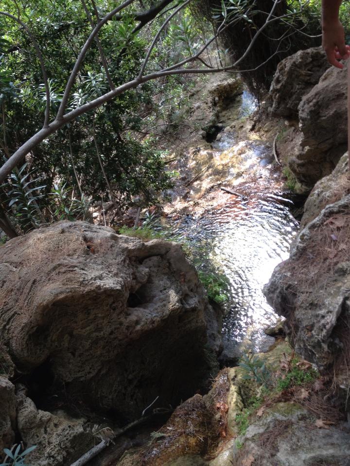 Kavak Kayaköy Köyü Resimleri 10