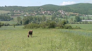 Kavak Muhsinli Köyü Resimleri 4