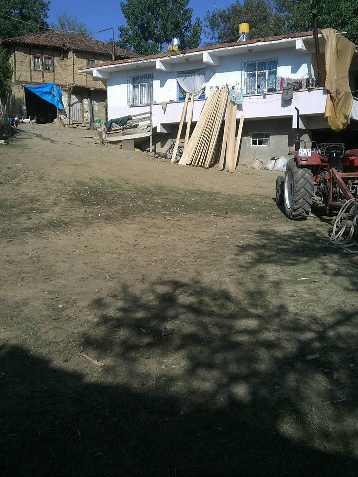 Kavak Muhsinli Köyü Resimleri 8