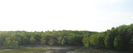 Hendek Paşaköy Köyü Resimleri 1