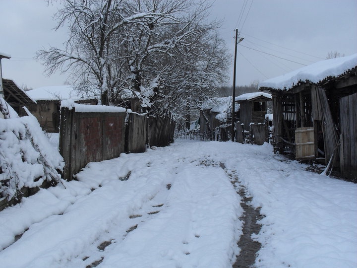 Hendek Paşaköy Köyü Resimleri 3