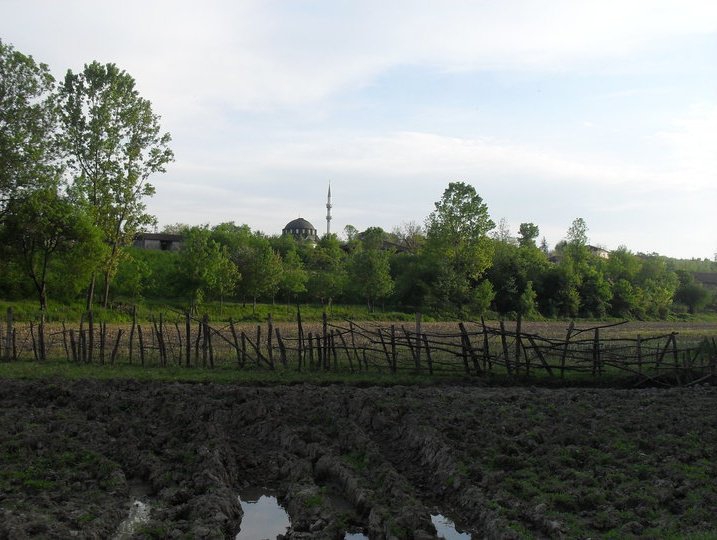 Hendek Paşaköy Köyü Resimleri 8