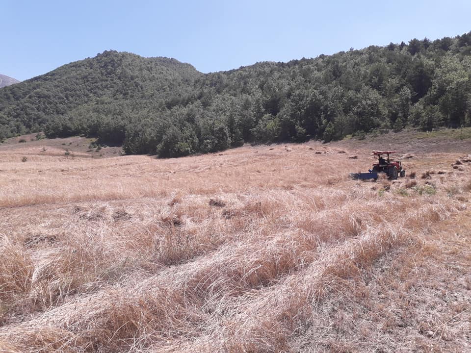 Başçiftlik Sarıağıl Köyü Resimleri 3