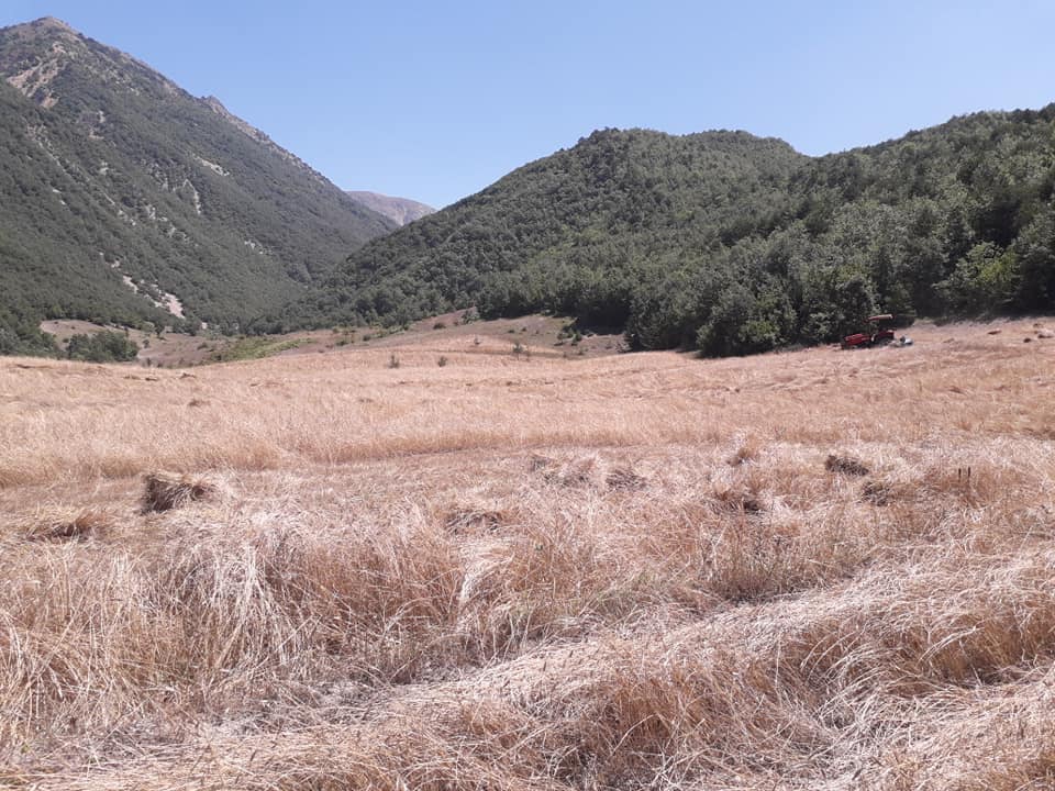 Başçiftlik Sarıağıl Köyü Resimleri 4