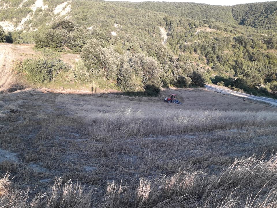 Başçiftlik Sarıağıl Köyü Resimleri 7