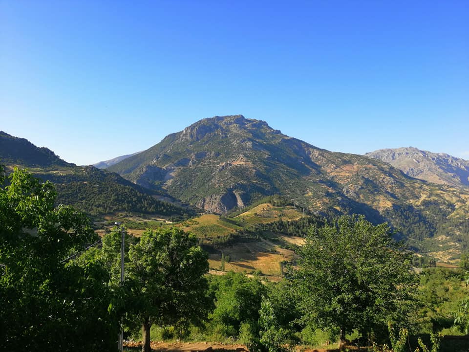 Onikişubat Avcılar Köyü Resimleri 4