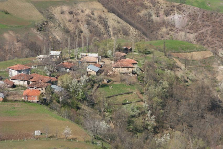 Niksar Araköy Köyü Resimleri 3