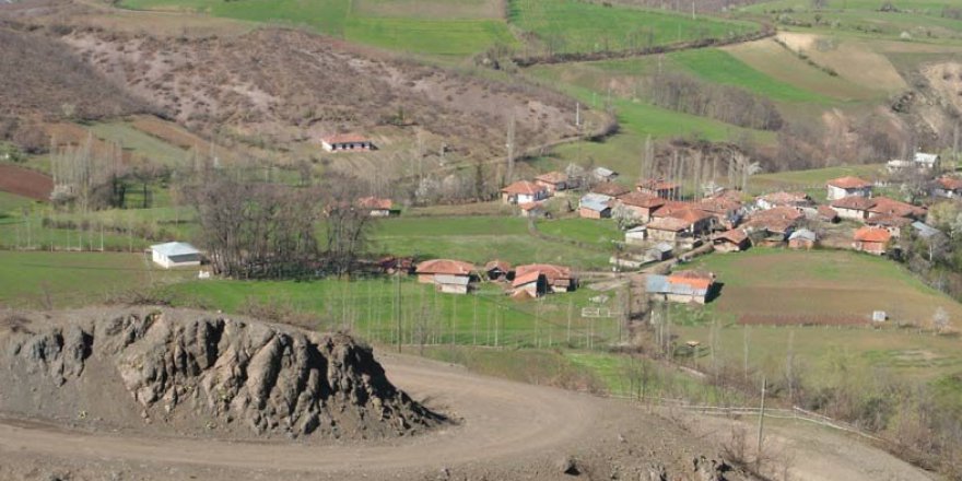 Niksar Araköy Köyü Resimleri