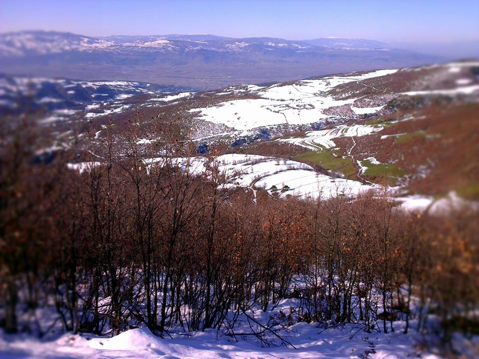 Niksar Ardıçlı Köyü Resimleri 10