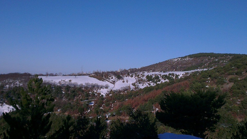 Niksar Ardıçlı Köyü Resimleri 2