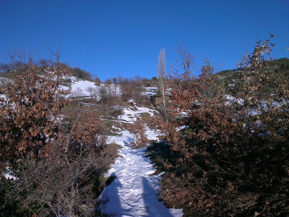 Niksar Ardıçlı Köyü Resimleri 4
