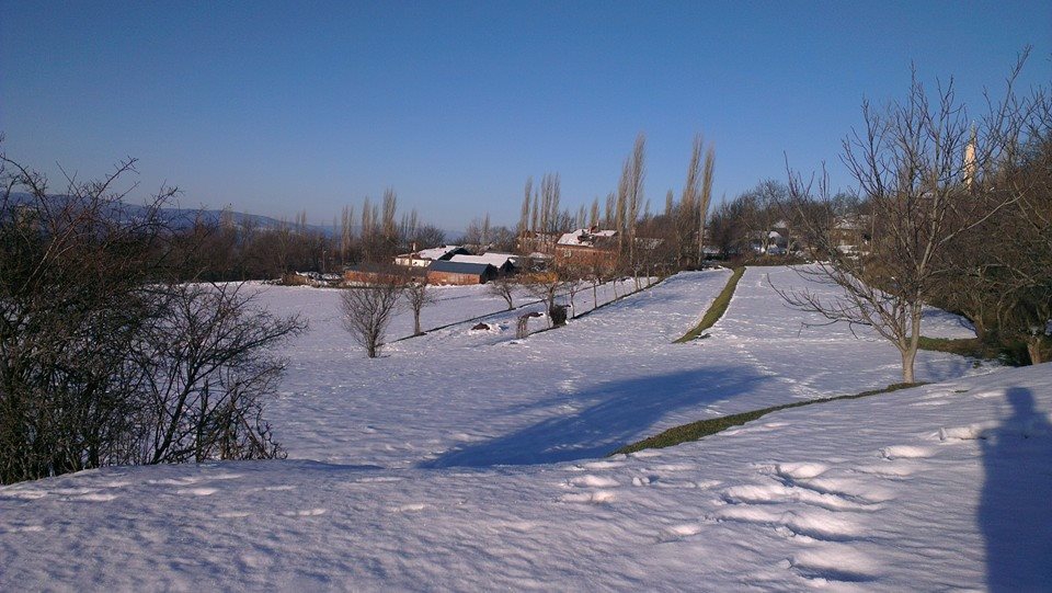 Niksar Ardıçlı Köyü Resimleri 5