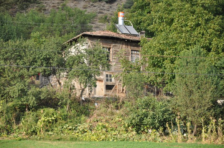 Niksar Ardıçlı Köyü Resimleri 6