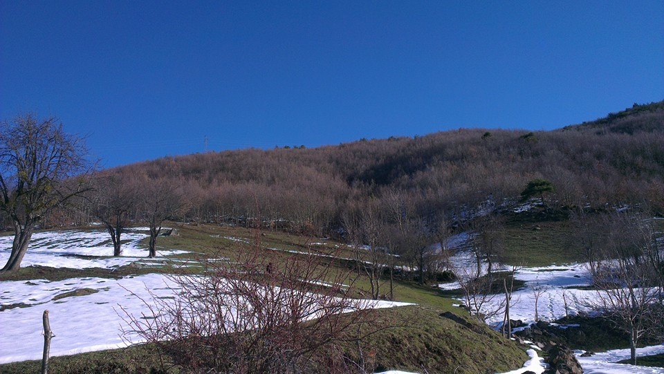 Niksar Ardıçlı Köyü Resimleri 7