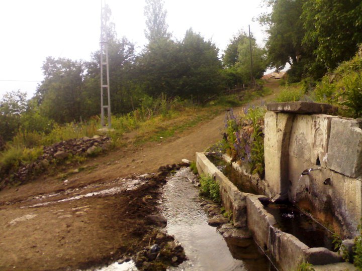 Niksar Ardıçlı Köyü Resimleri 9