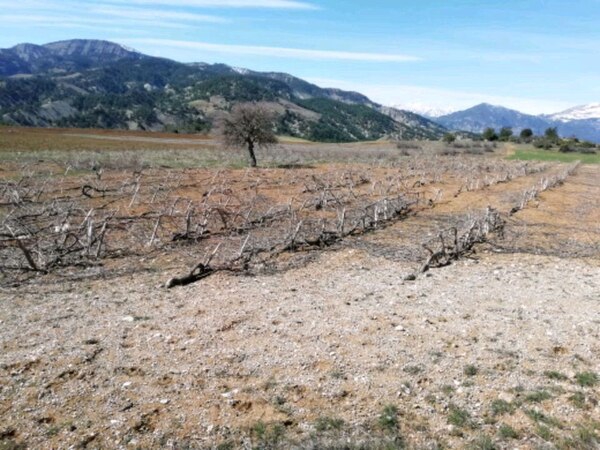 Onikişubat Beşen Köyü Resimleri 2