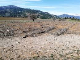 Onikişubat Beşen Köyü Resimleri 3