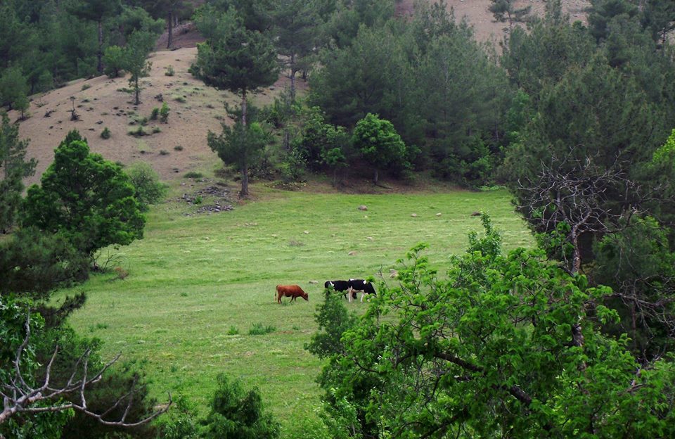 Onikişubat Beşen Köyü Resimleri 5
