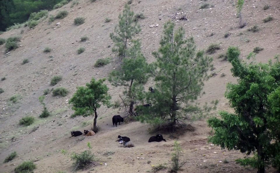 Onikişubat Beşen Köyü Resimleri 7