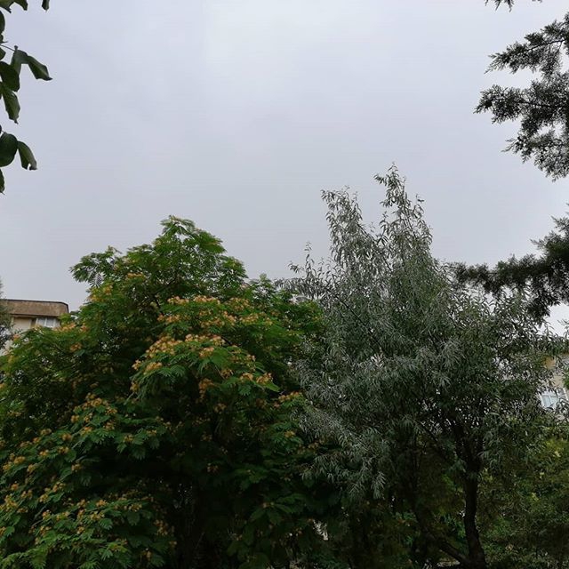 Onikişubat Bulutoğlu Köyü Resimleri 8